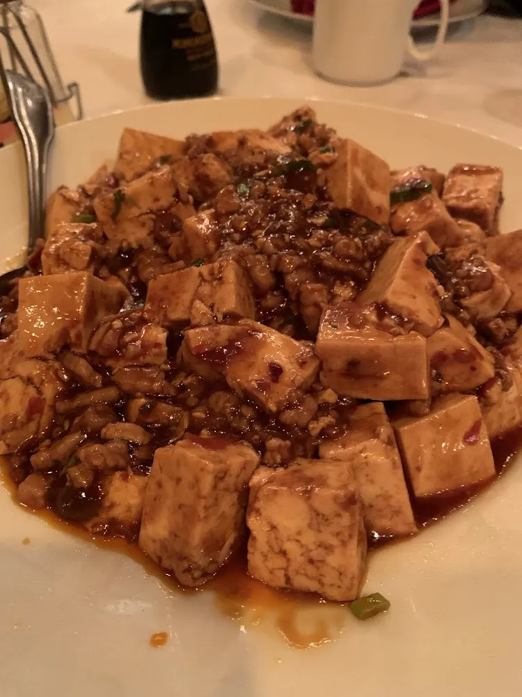 Mapo Tofu